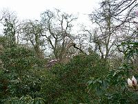 08-04-2007_19-16-14_103