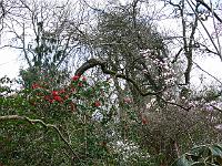 10-04-2007_16-06-19_27