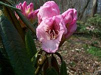 15-04-05kodak_086