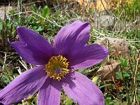 15-04-05kodak_098