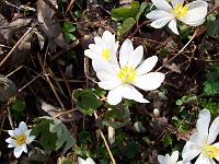 15-04-05kodak_111