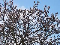18-04-05kodak_018