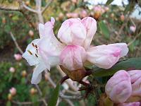18-04-05kodak_032