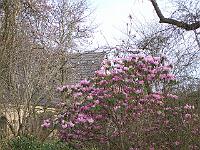 18-04-05kodak_070