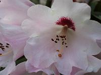 18-04-05kodak_074