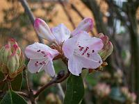 18-04-05kodak_076