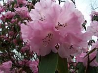 18-04-05kodak_106