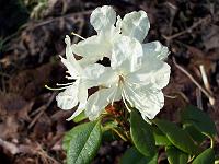 20-04-05kodak_056