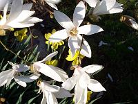 20-04-05kodak_057