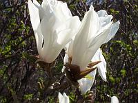 20-04-05kodak_158