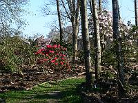 2011-04-18_07-32-13_0040