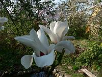 2011-04-22_08-30-09_0184