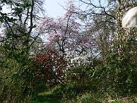 2011-04-22_08-30-46_0190