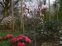 2011-04-23_05-59-09_0004