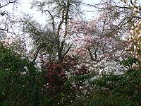 2011-04-23_06-30-16_0099