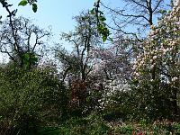 2011-04-24_08-50-30_0228