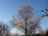 21-04-05kodak_002