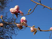 25-04-05kodak_109