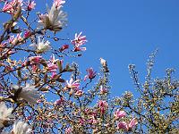 25-04-05kodak_133