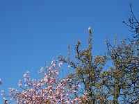 25-04-05kodak_141