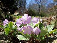 25-04-05kodak_186