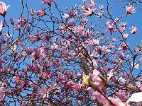 26-04-05kodak_155