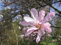 28-04-05canon_029