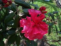 28-04-05kodak_016