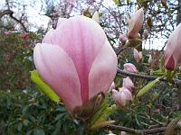 28-04-05kodak_051