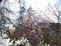 28-04-05kodak_113