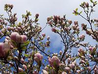 28-04-05kodak_127