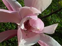 28-04-05kodak_147
