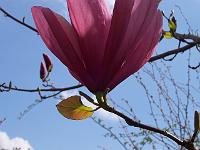 28-04-05kodak_149