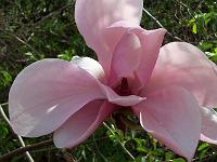28-04-05kodak_154