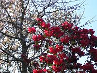 28-04-05kodak_201