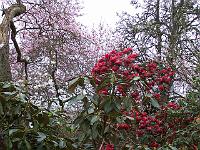 29-04-05kodak_149