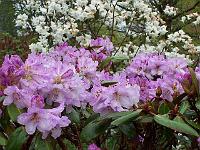 30-04-05kodak_031