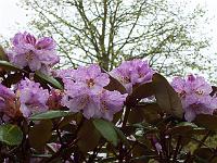 30-04-05kodak_034