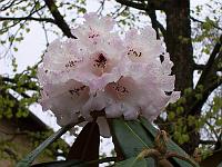 30-04-05kodak_037_2