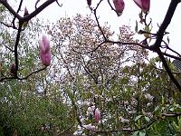 30-04-05kodak_040_2