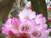 30-04-05kodak_109