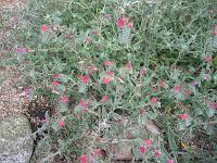 21-08-05canon_003