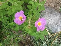 21-08-05canon_005