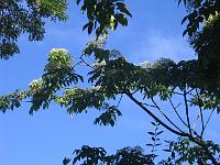 27-08-05canon_004