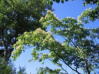 30-08-05canon_018