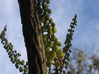 13-12-05canon_045