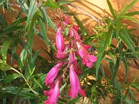 13-12-05canon_064