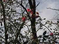 13-12-05canon_131