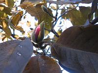 14-12-05canon_072