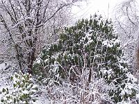 12-02-05kodak_025